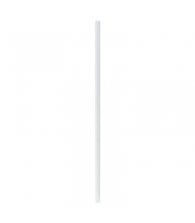 Paille en papier blanc   H260mm - 3000Pcs