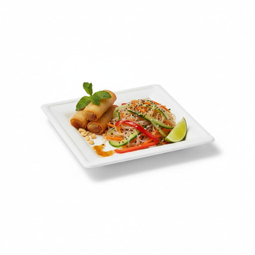 Assiette carrée blanche en pulpe  160x160mm-500Pcs