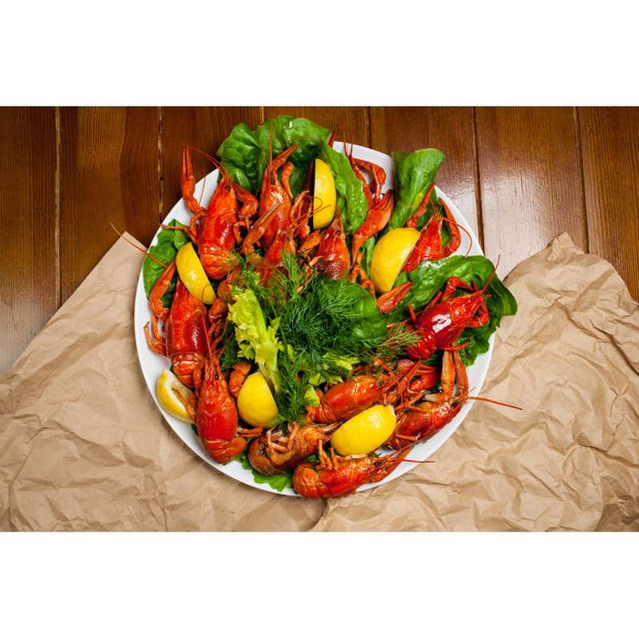 Assiette en pulpe blanche ronde Ø160mm - 1000Pcs