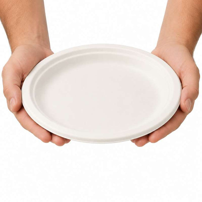 Assiette ovale blanche en pulpe  260x195mm H20mm-500Pcs