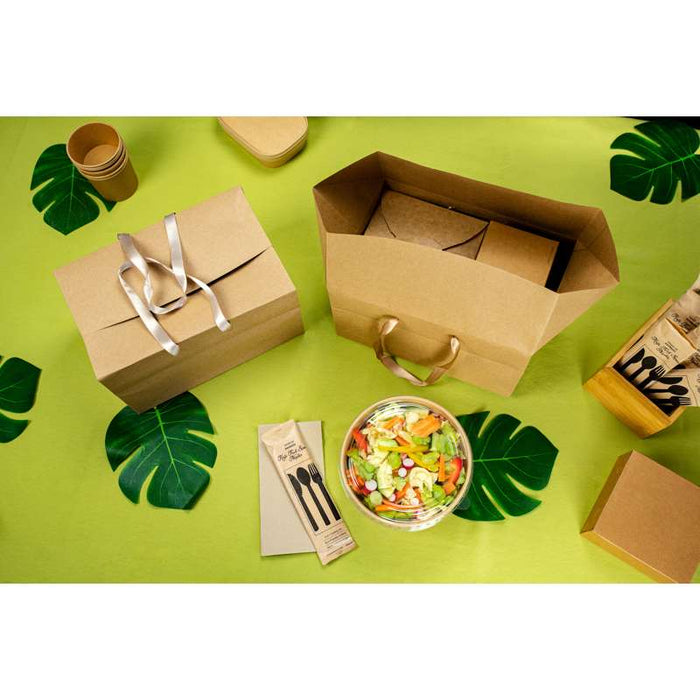 Sac boîte carton kraft poignées tissu (poids max 5kg) 300x200mm H170mm-50Pcs