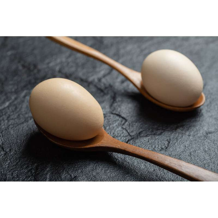 Cuillère bambou   H160mm-250Pcs
