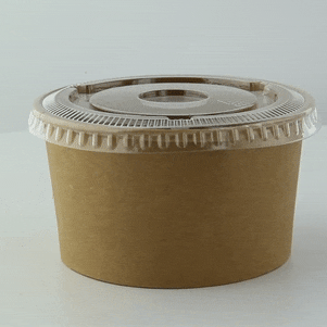 Couvercle plat transparent en plastique PET  H10mm-1000Pcs