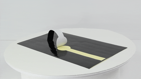 Etiquette autocollante noire  300x20mm-500Pcs