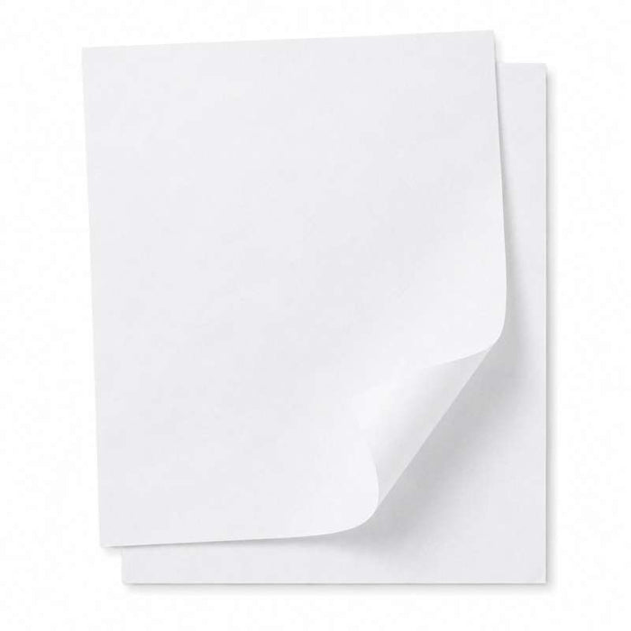 Papier cuisson papier blanc siliconé double face  530x325mm-500Pcs