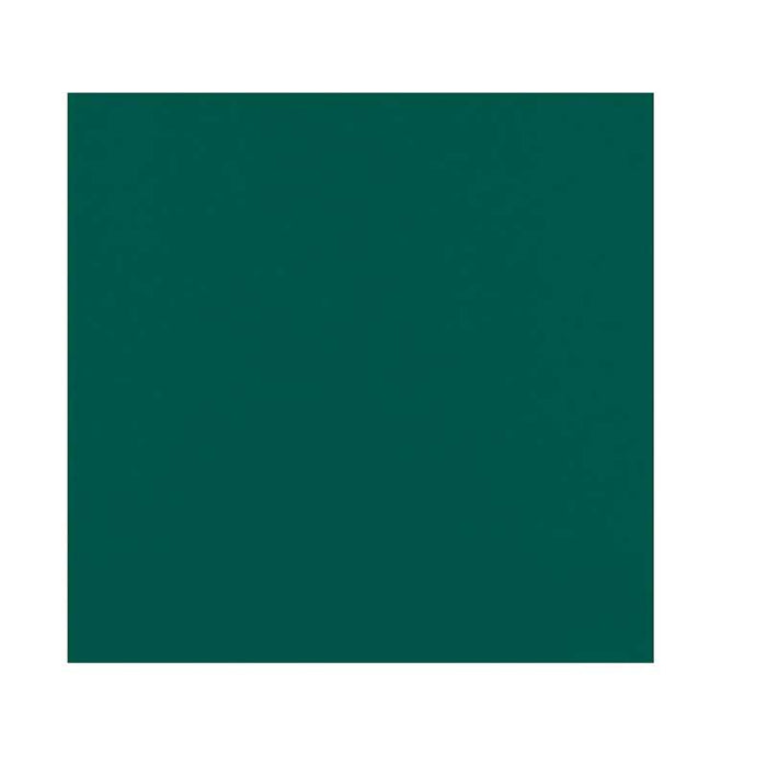 Serviette 2 plis verte micro-point 380x380mm - 1200Pcs