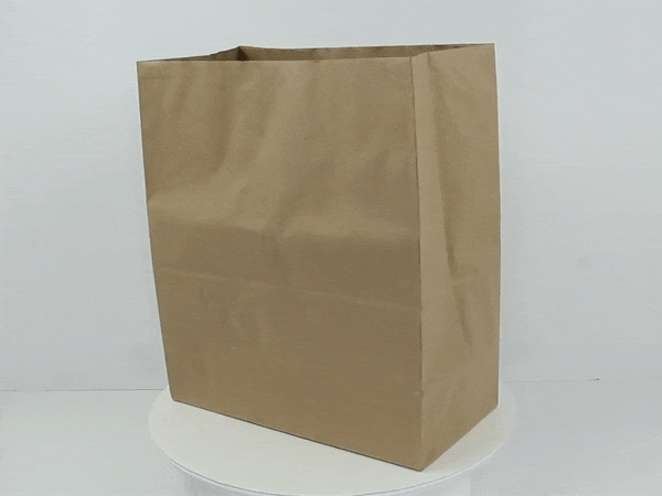 Sac SOS double-paroi papier kraft brun  320x170mm H380mm-250Pcs