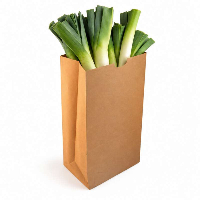 Sac SOS géant papier kraft brun recyclé 320x160mm H430mm-250Pcs