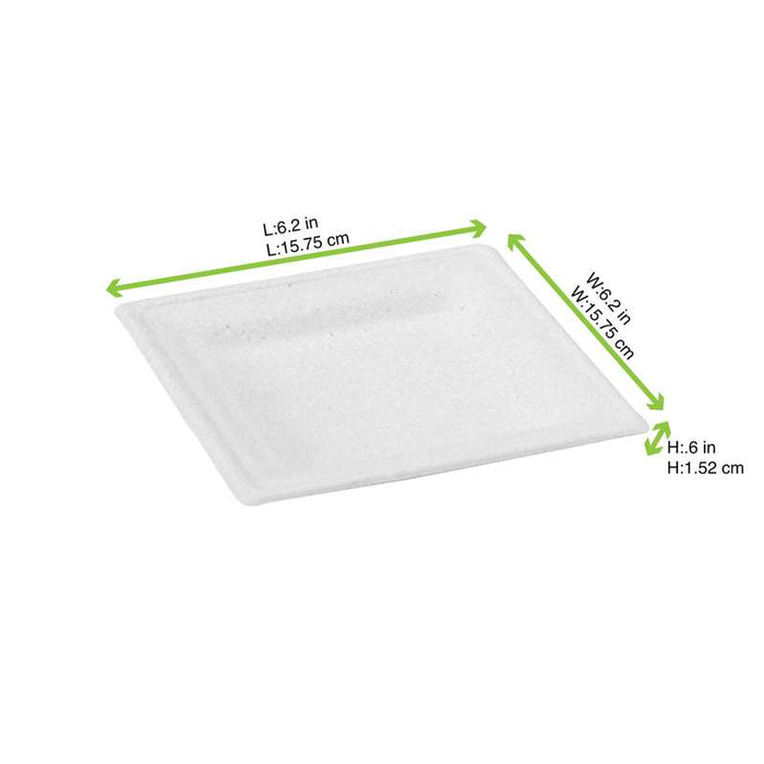 Assiette pulpe carrée blanche  160mm  H15mm-576Pcs
