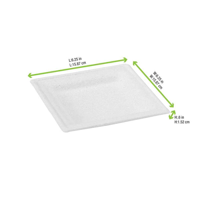 Assiette carrée en pulpe blanche 160x160mm - 300Pcs