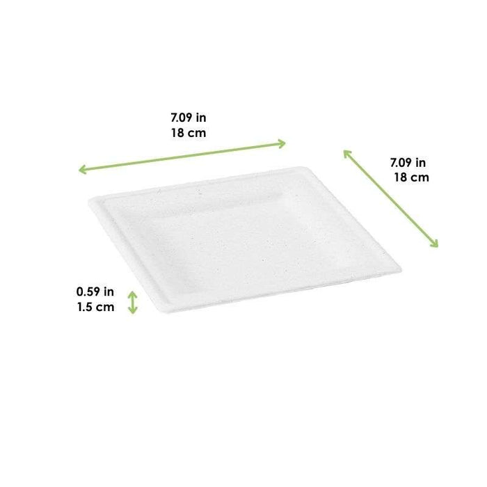 Assiette pulpe carrée blanche 180x180mm H15mm-60Pcs