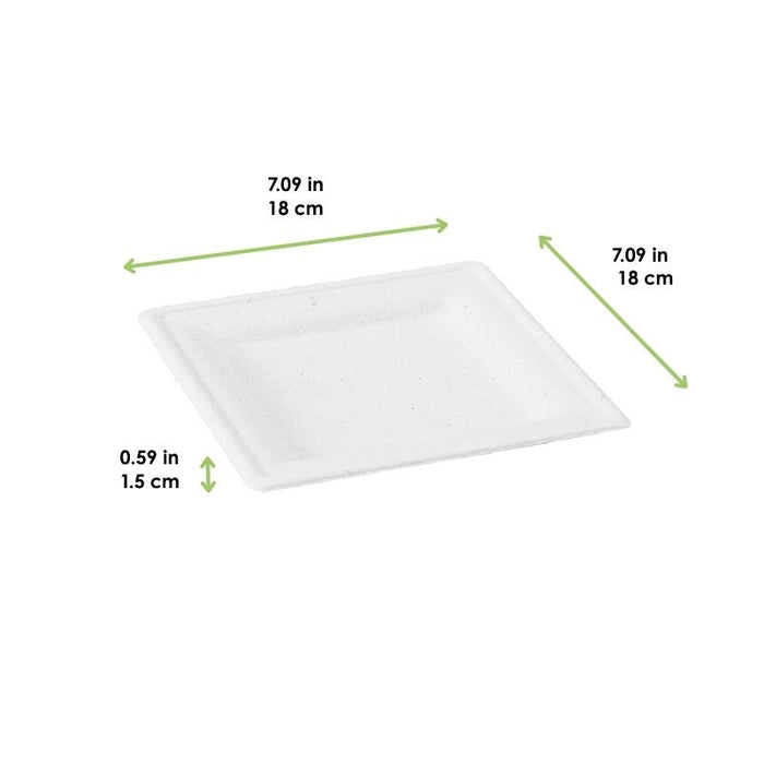 Assiette pulpe carrée blanche 180x180mm H15mm-60Pcs