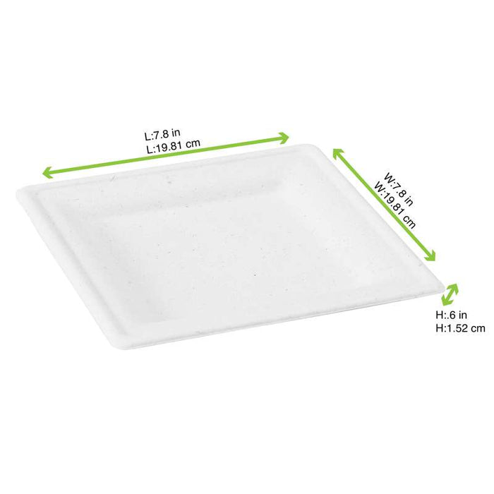 Assiette pulpe carrée blanche 200x200mm H12mm-576Pcs