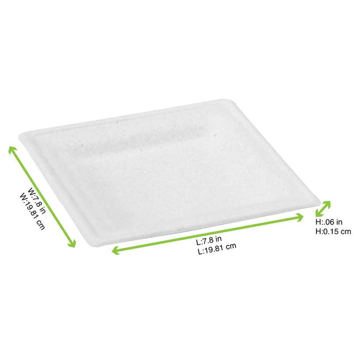 Assiette pulpe carrée blanche  250mm  H17mm-288Pcs