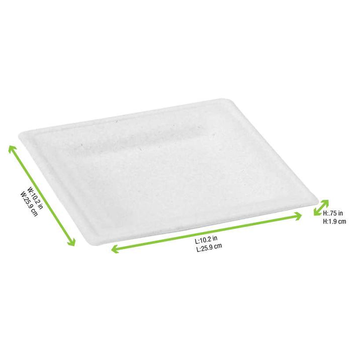 Grande assiette carrée en pulpe blanche 260x260mm - 180Pcs