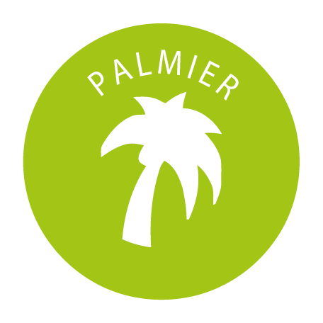 produit en palmier